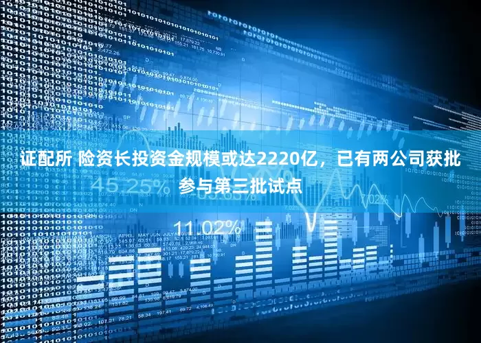 证配所 险资长投资金规模或达2220亿，已有两公司获批参与第三批试点