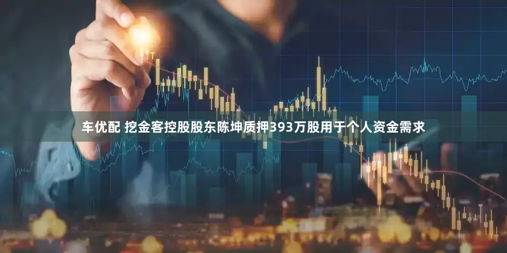 车优配 挖金客控股股东陈坤质押393万股用于个人资金需求