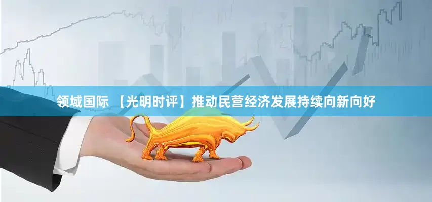领域国际 【光明时评】推动民营经济发展持续向新向好