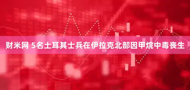 财米网 5名土耳其士兵在伊拉克北部因甲烷中毒丧生