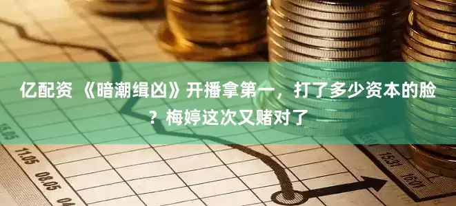 亿配资 《暗潮缉凶》开播拿第一，打了多少资本的脸？梅婷这次又赌对了