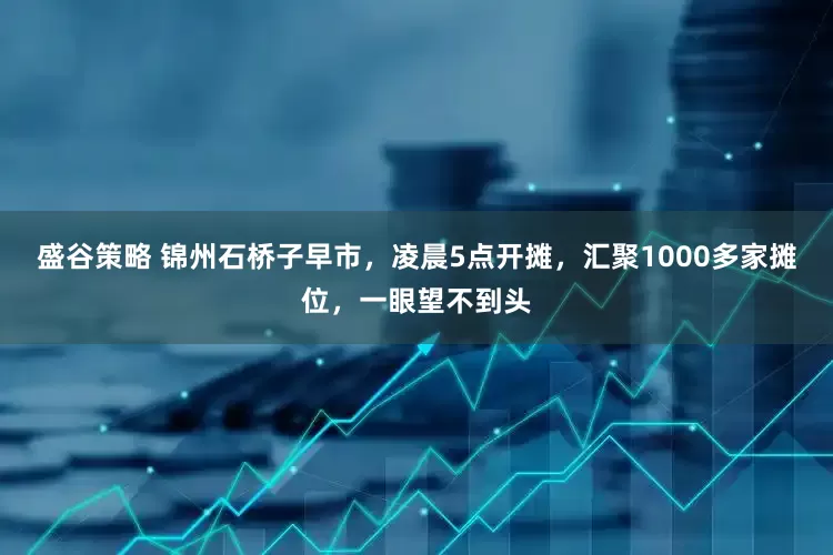 盛谷策略 锦州石桥子早市，凌晨5点开摊，汇聚1000多家摊位，一眼望不到头