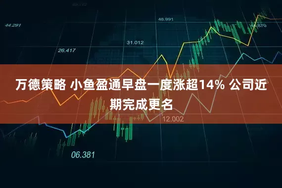万德策略 小鱼盈通早盘一度涨超14% 公司近期完成更名