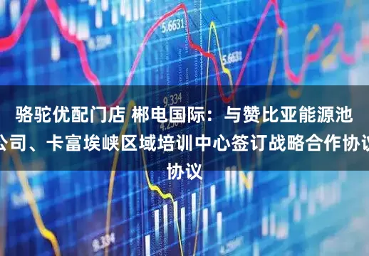 骆驼优配门店 郴电国际:与赞比亚能源池公司、卡富埃峡区域培训中心签订战略合作协议