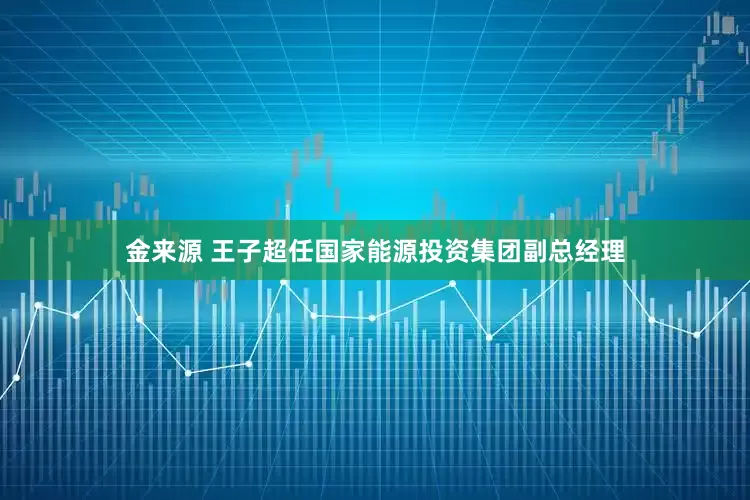 金来源 王子超任国家能源投资集团副总经理